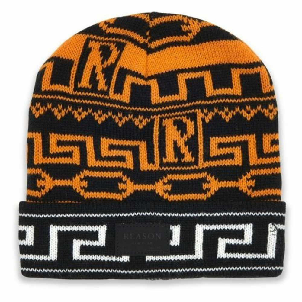 NWT Reason Brand beanie